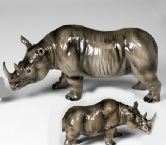 Rinoceronte con cucciolo