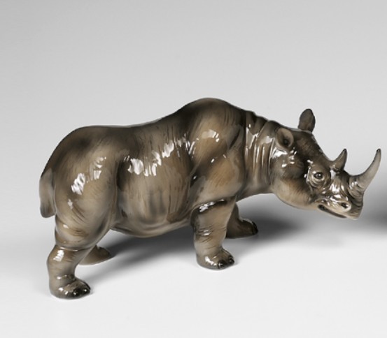 Rinoceronte con cucciolo