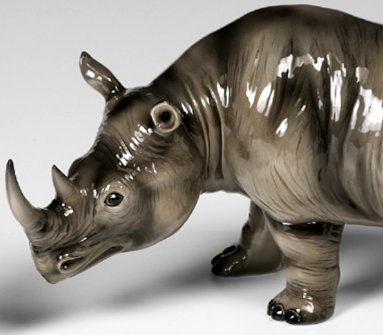   rhinoceros