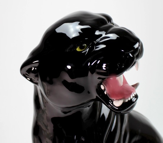 Black Panther shiny