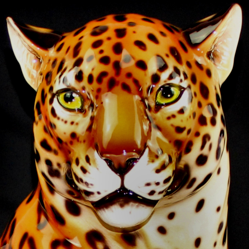 Jaguar boca cerrada