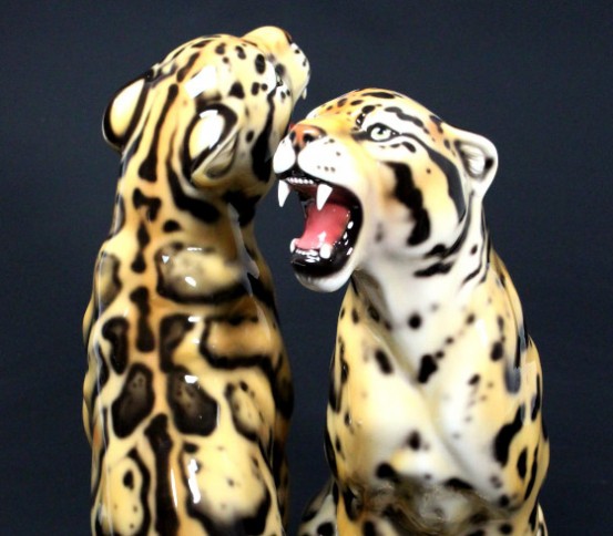 Leopardo nebuloso
