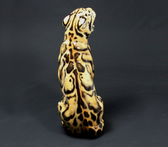 Leopardo nebuloso
