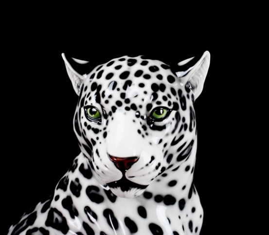 Jaguar negro blanco boca cerrada