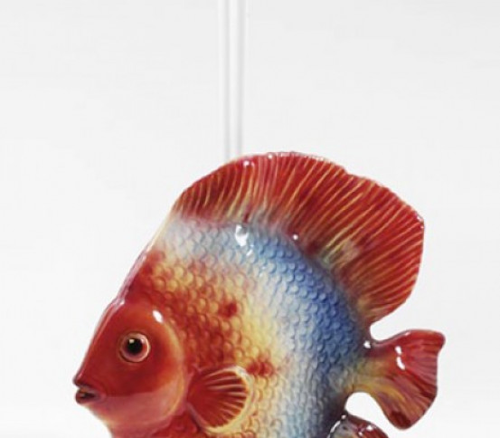 Pesce Discus rosso portascopino