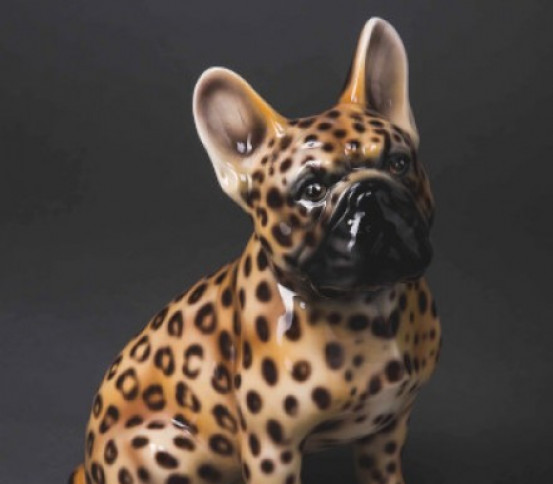Leopard painted French bouledogue
