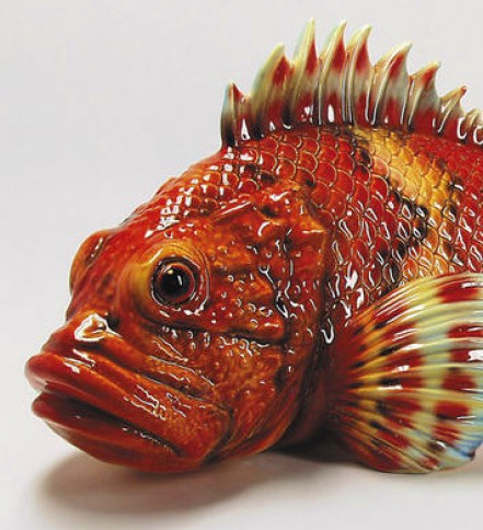 Fisch Rotbarsch